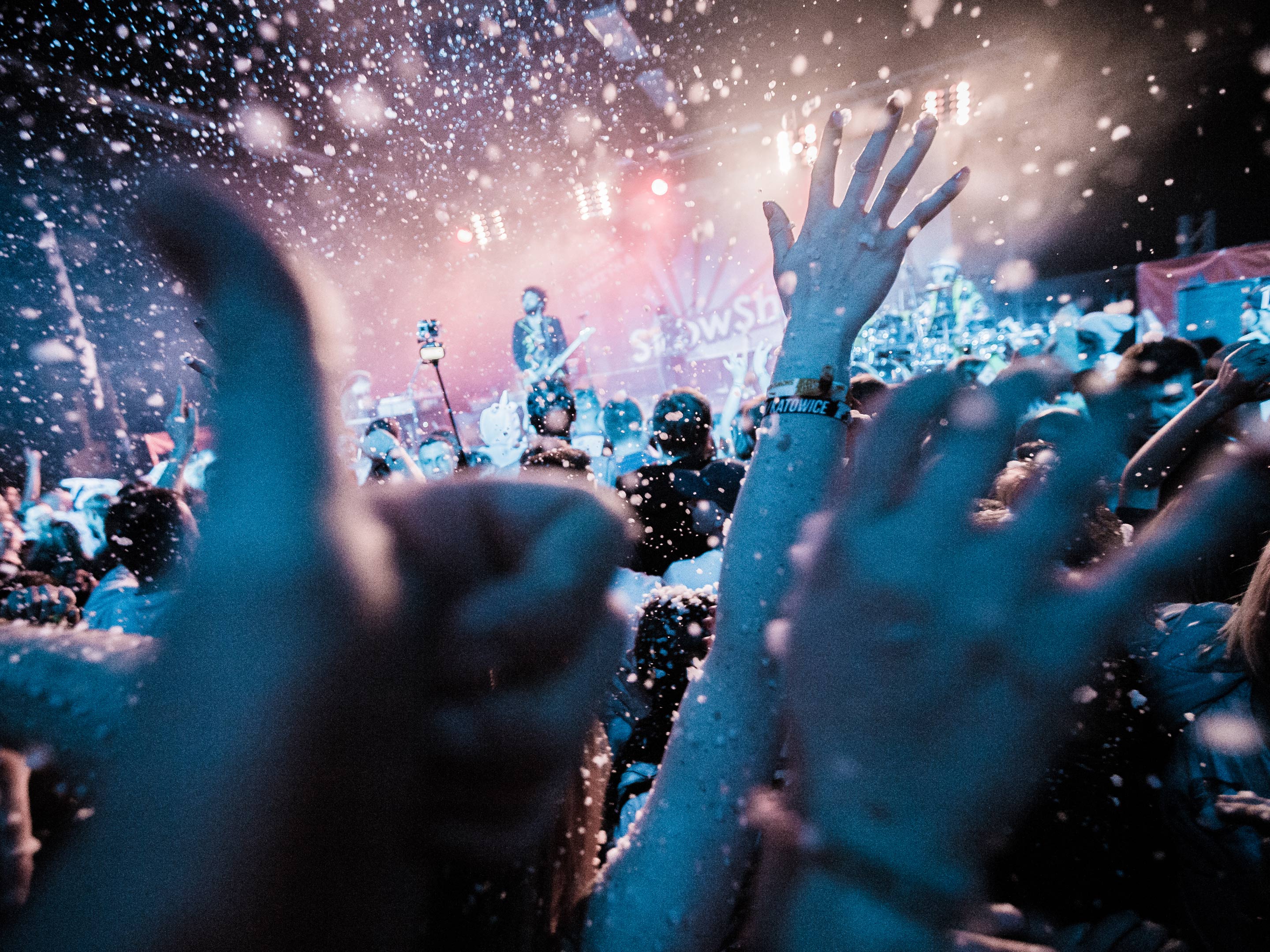 SnowShow Music Fest